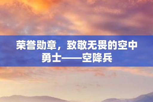 致敬无畏的空中勇士图片