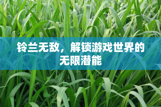 解锁游戏世界的无限潜能图片