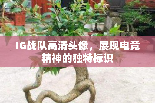 展现电竞精神的独特标识图片