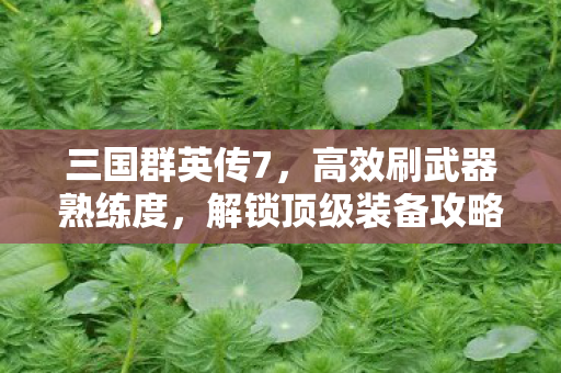 高效刷武器熟练度图片