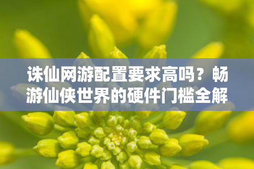 畅游仙侠世界的硬件门槛全解析图片