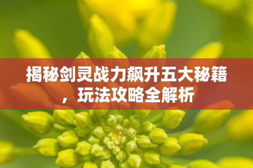 揭秘剑灵战力飙升五大秘籍图片