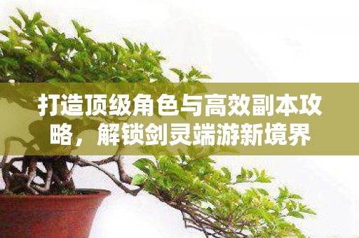 打造顶级角色与高效副本攻略图片