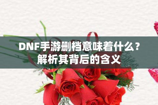 DNF手游删档意味着什么图片