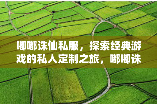 探索经典游戏的私人定制之旅图片
