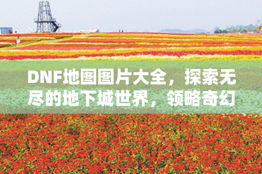 探索无尽的地下城世界图片