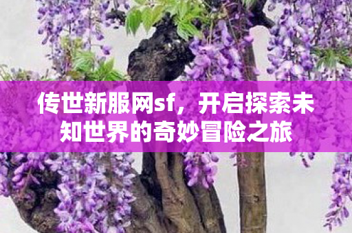 开启探索未知世界的奇妙冒险之旅图片
