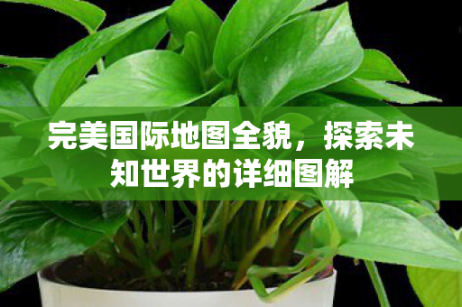 探索未知世界的详细图解图片