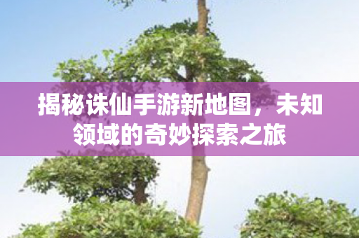 未知领域的奇妙探索之旅图片
