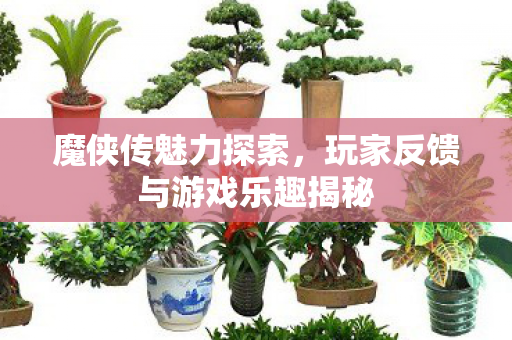玩家反馈与游戏乐趣揭秘图片
