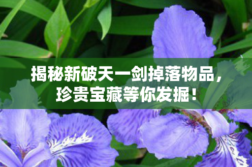 揭秘新破天一剑掉落物品图片