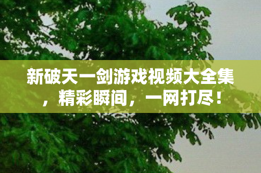 新破天一剑游戏视频大全集图片