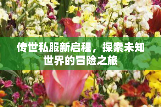 探索未知世界的冒险之旅图片