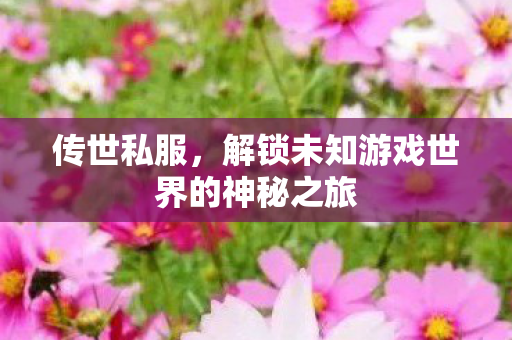 解锁未知游戏世界的神秘之旅图片