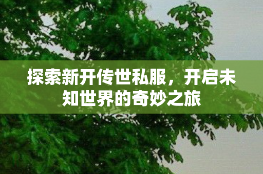 开启未知世界的奇妙之旅图片