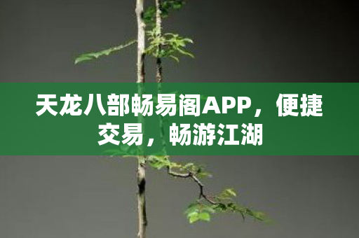 天龙八部畅易阁APP图片