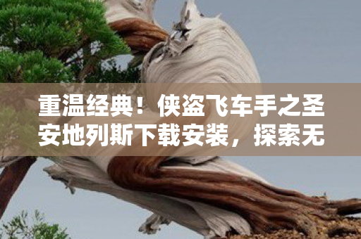 侠盗飞车手之圣安地列斯下载安装图片