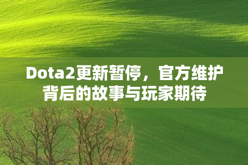 官方维护背后的故事与玩家期待图片