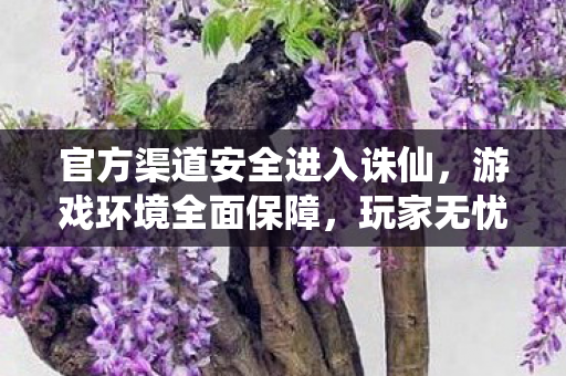 官方渠道安全进入诛仙图片