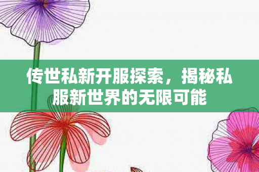 揭秘私服新世界的无限可能图片