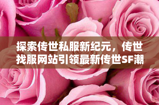传世找服网站引领最新传世SF潮流图片