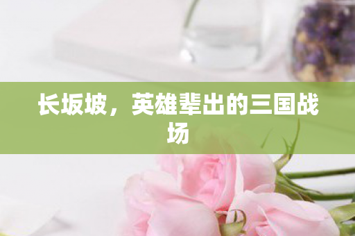 英雄辈出的三国战场图片