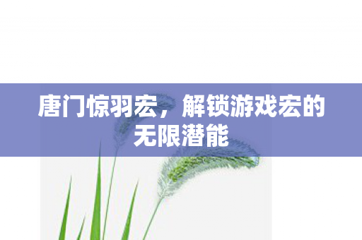 解锁游戏宏的无限潜能图片