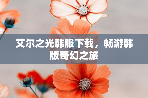 艾尔之光韩服下载图片