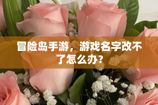 游戏名字改不了怎么办图片