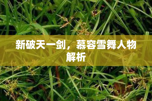 新破天一剑，慕容雪舞人物解析