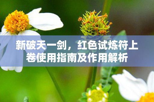 红色试炼符上卷使用指南及作用解析图片