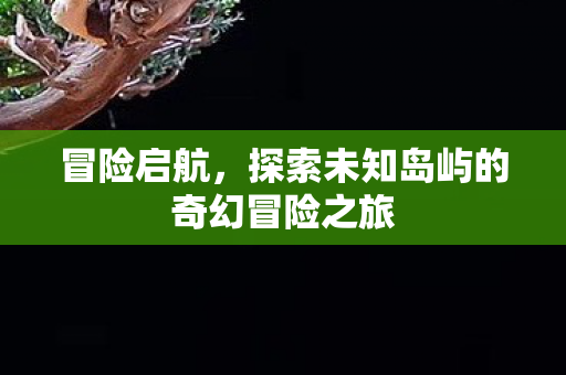 探索未知岛屿的奇幻冒险之旅图片