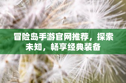 冒险岛手游官网推荐图片