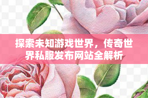传奇世界私服发布网站全解析图片