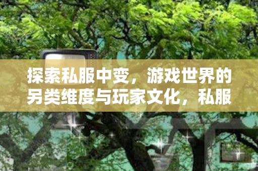 探索游戏世界的另类维度与玩家文化图片