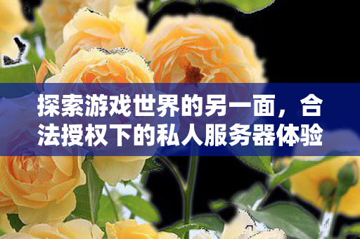 合法授权下的私人服务器体验图片
