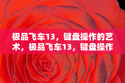 键盘操作的艺术图片