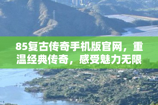 85复古传奇手机版官网图片