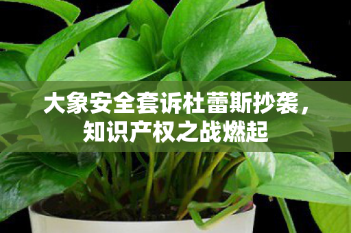 大象安全套诉杜蕾斯抄袭图片