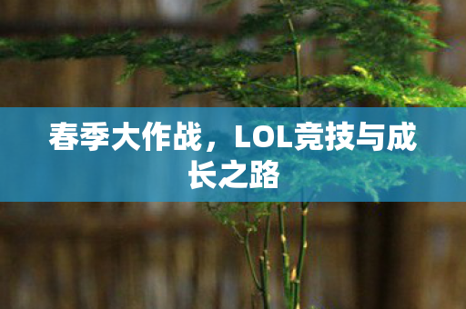 LOL竞技与成长之路图片