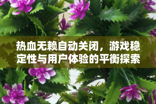 游戏稳定性与用户体验的平衡探索图片
