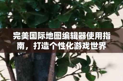 完美国际地图编辑器使用指南图片