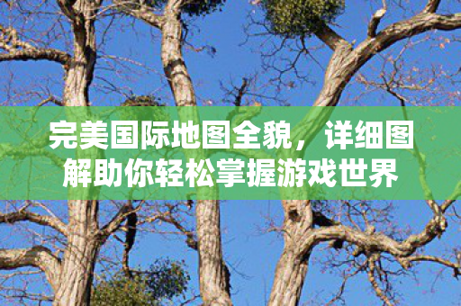 详细图解助你轻松掌握游戏世界图片