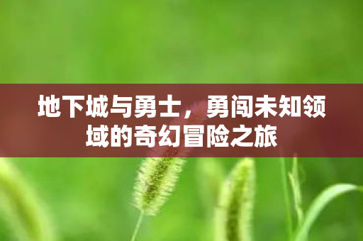 勇闯未知领域的奇幻冒险之旅图片