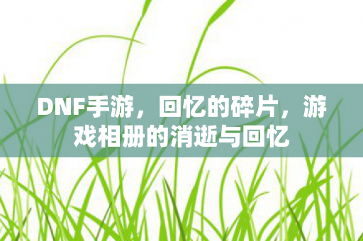 游戏相册的消逝与回忆图片