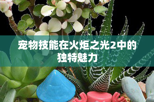 宠物技能在火炬之光2中的独特魅力图片