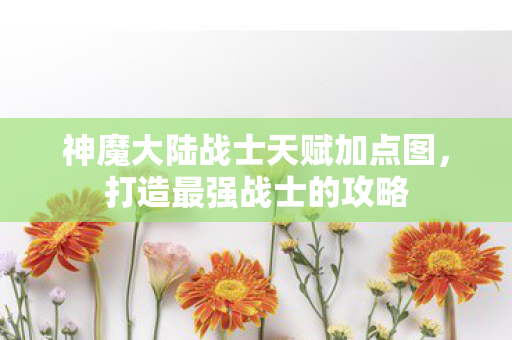 神魔大陆战士天赋加点图图片