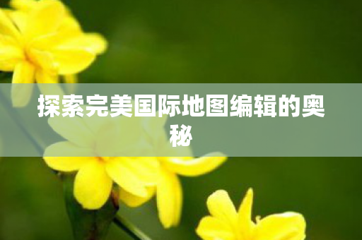 探索完美国际地图编辑的奥秘图片