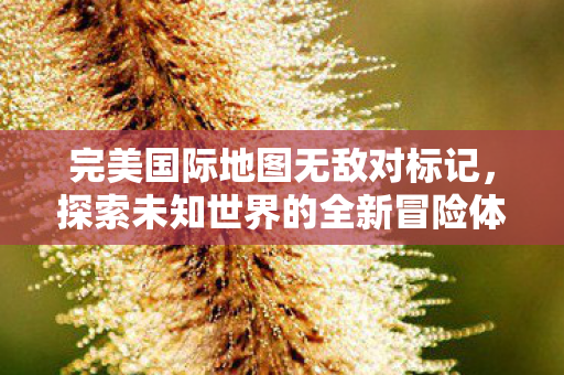 探索未知世界的全新冒险体验图片