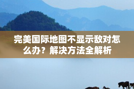 完美国际地图不显示敌对怎么办图片